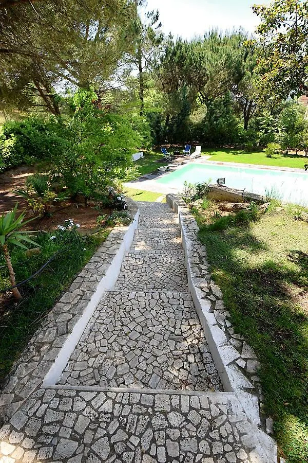 Bed & Breakfast Villa La Mattina Piazza Armerina